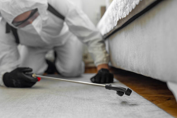 Professional Pest Control technician working in Tuscola County County, MI